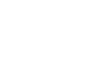 The Melung Stories